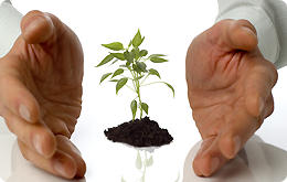 Bản tin nội bộ Bản tin nội bộ